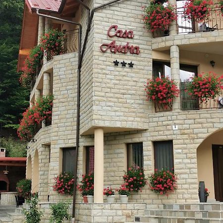 Hôtel Casa Andra à Slănic-Moldova Extérieur photo