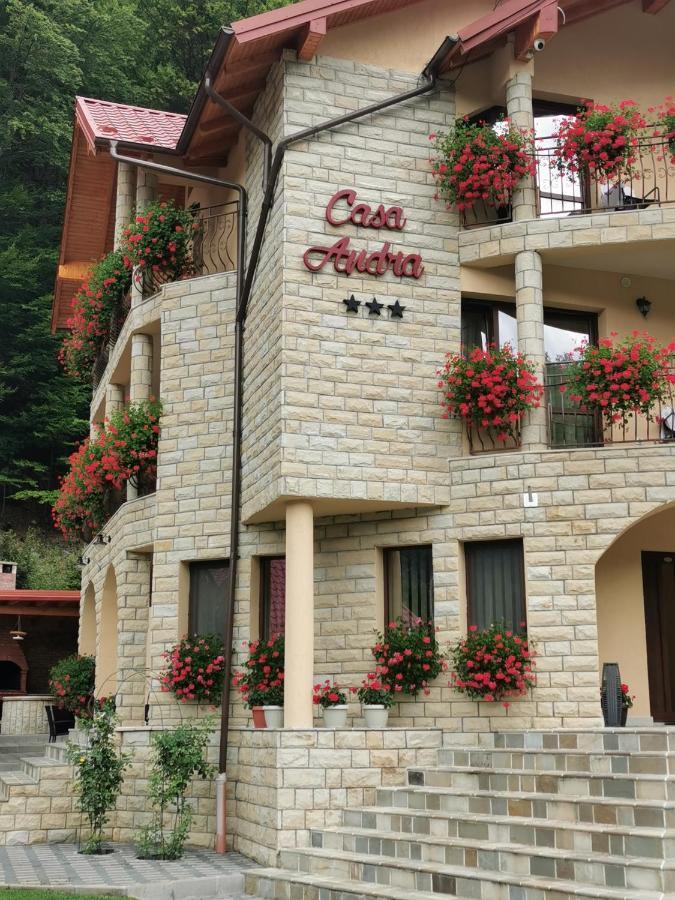 Hôtel Casa Andra à Slănic-Moldova Extérieur photo