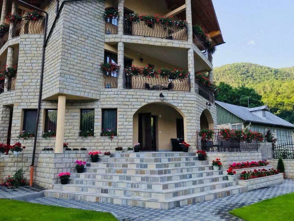 Hôtel Casa Andra à Slănic-Moldova Extérieur photo
