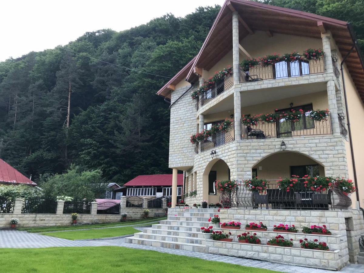 Hôtel Casa Andra à Slănic-Moldova Extérieur photo