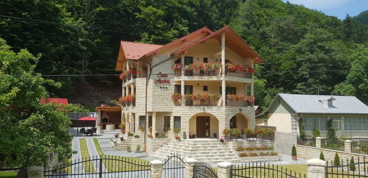 Hôtel Casa Andra à Slănic-Moldova Extérieur photo