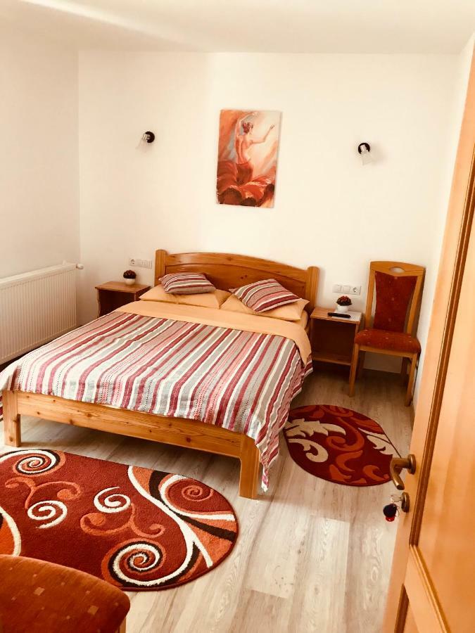 Hôtel Casa Andra à Slănic-Moldova Extérieur photo