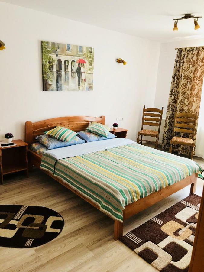 Hôtel Casa Andra à Slănic-Moldova Extérieur photo